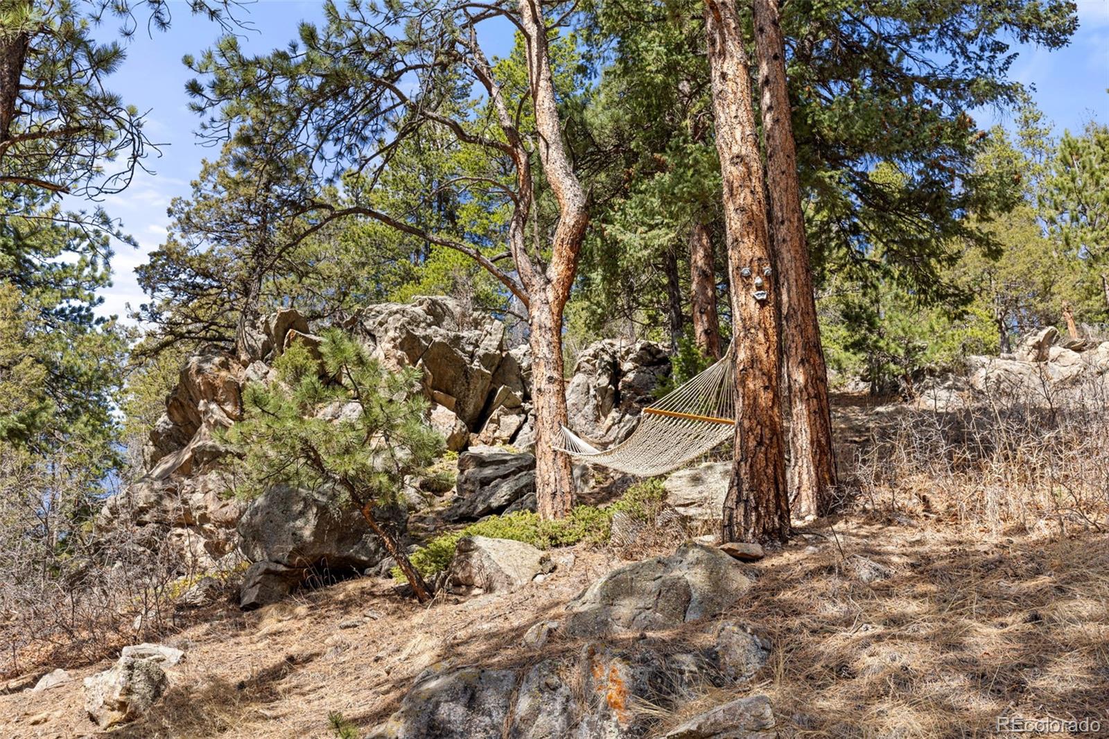 MLS Image #33 for 22081  bardwell avenue,conifer, Colorado