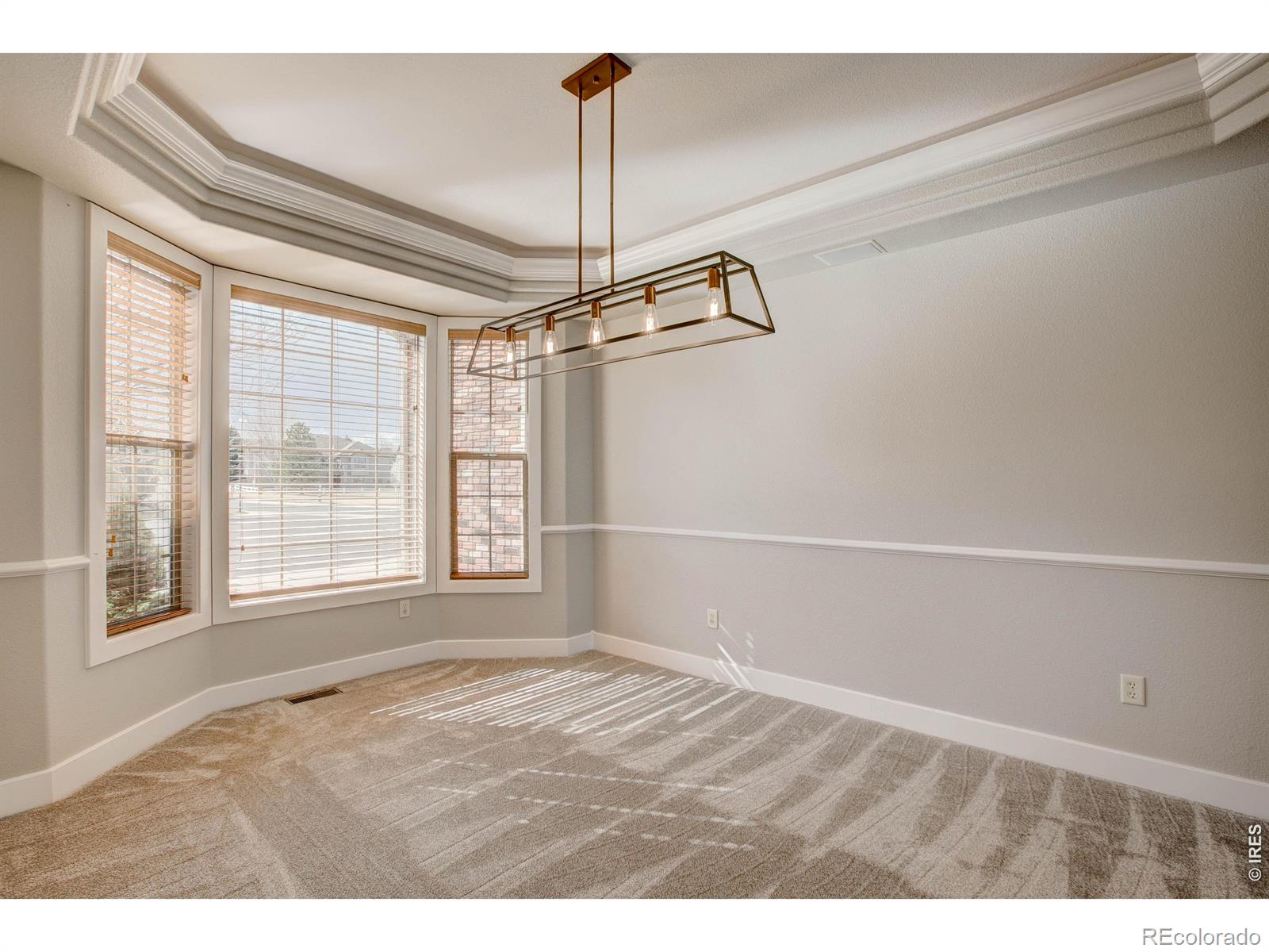 MLS Image #10 for 8416  starfish court,windsor, Colorado