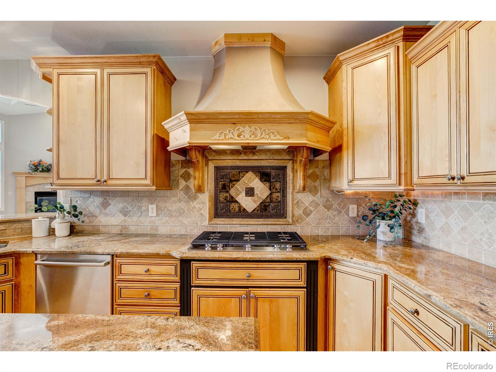 MLS Image #16 for 8416  starfish court,windsor, Colorado