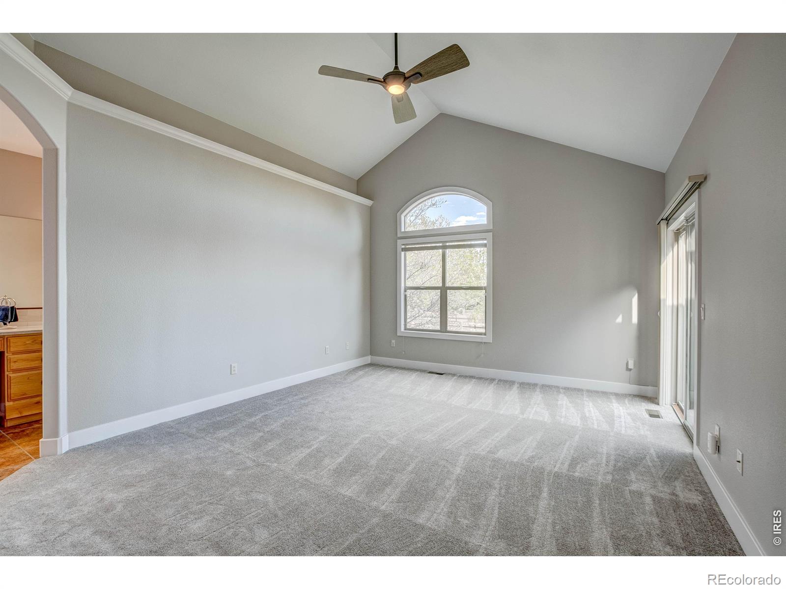 MLS Image #22 for 8416  starfish court,windsor, Colorado