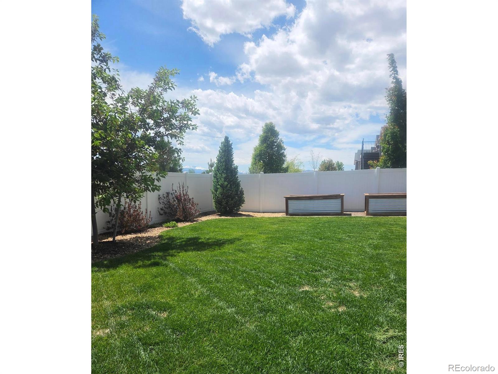 MLS Image #2 for 1853  holloway drive,windsor, Colorado