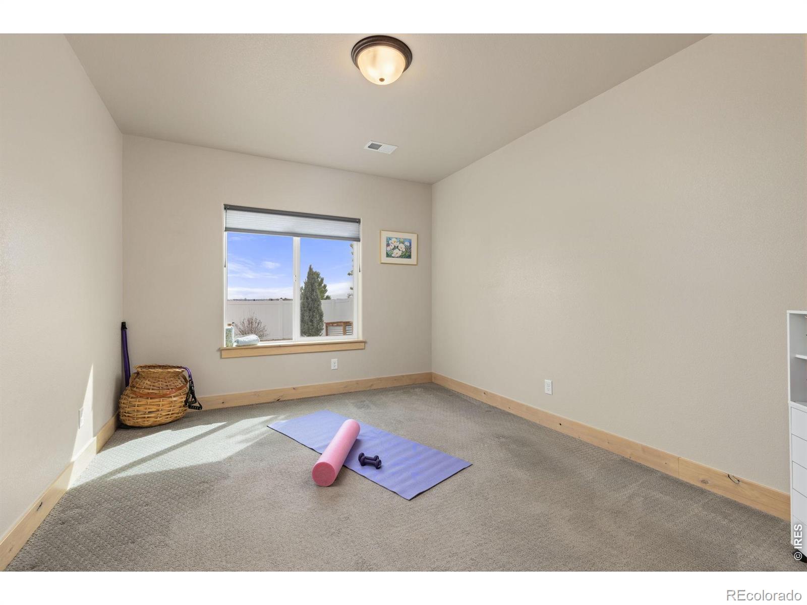 MLS Image #38 for 1853  holloway drive,windsor, Colorado