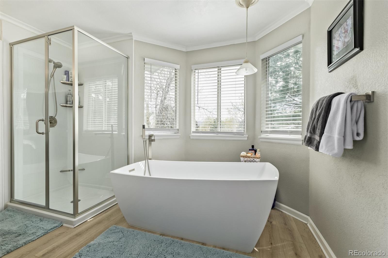 MLS Image #29 for 9050 w san juan drive,littleton, Colorado