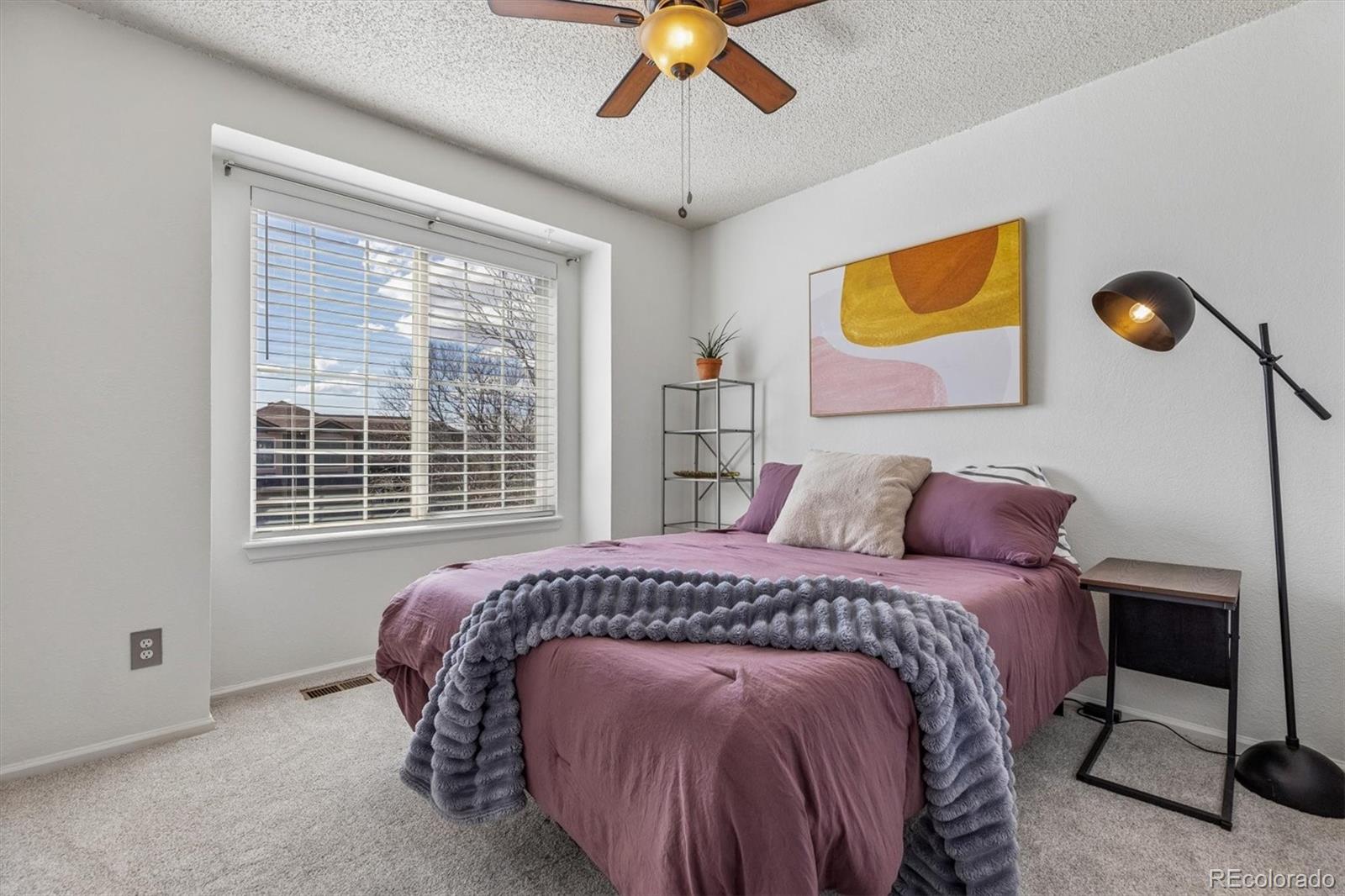 MLS Image #25 for 10104  silver maple road,highlands ranch, Colorado