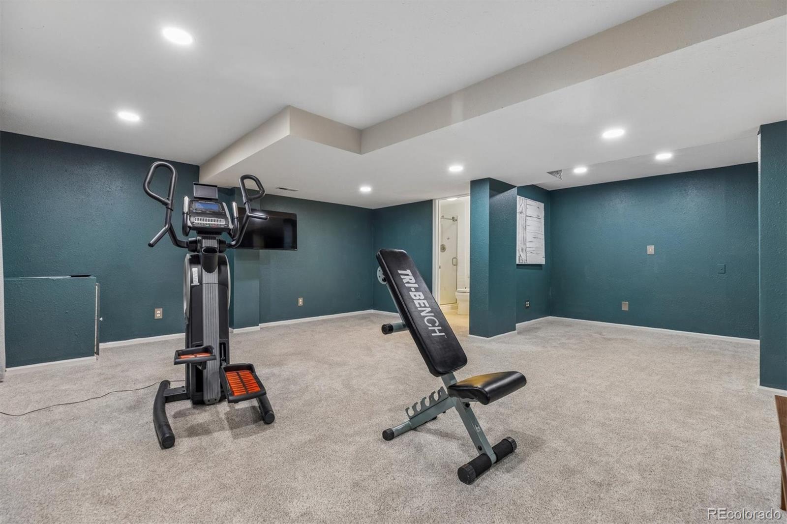 MLS Image #28 for 10104  silver maple road,highlands ranch, Colorado