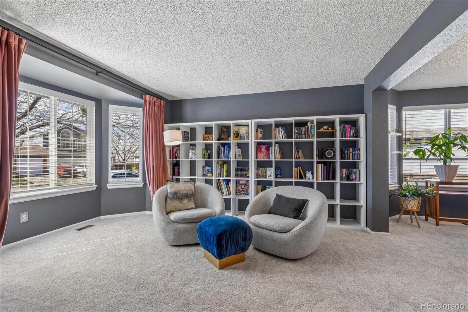 MLS Image #3 for 10104  silver maple road,highlands ranch, Colorado