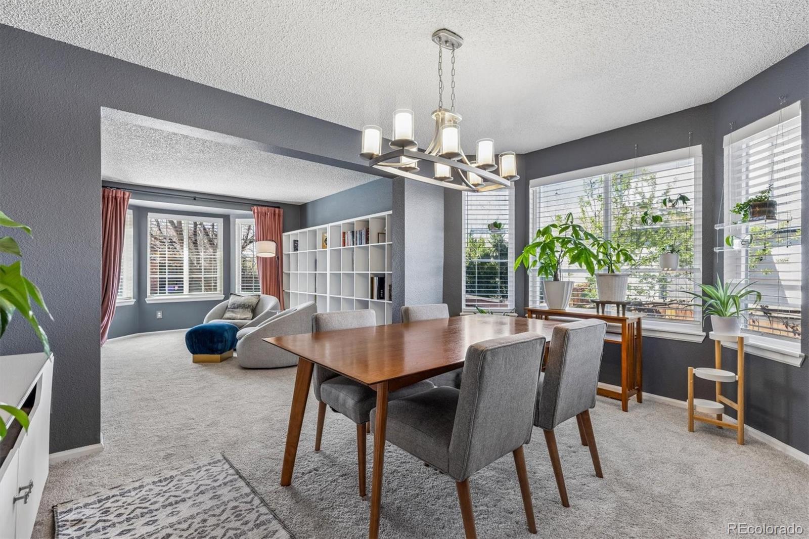 MLS Image #5 for 10104  silver maple road,highlands ranch, Colorado