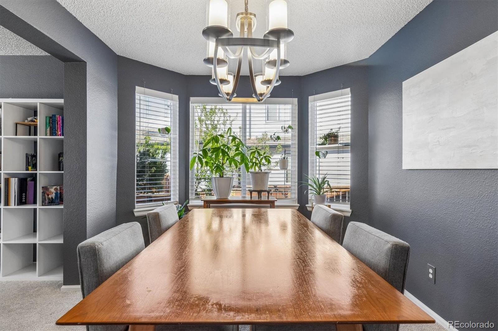 MLS Image #7 for 10104  silver maple road,highlands ranch, Colorado