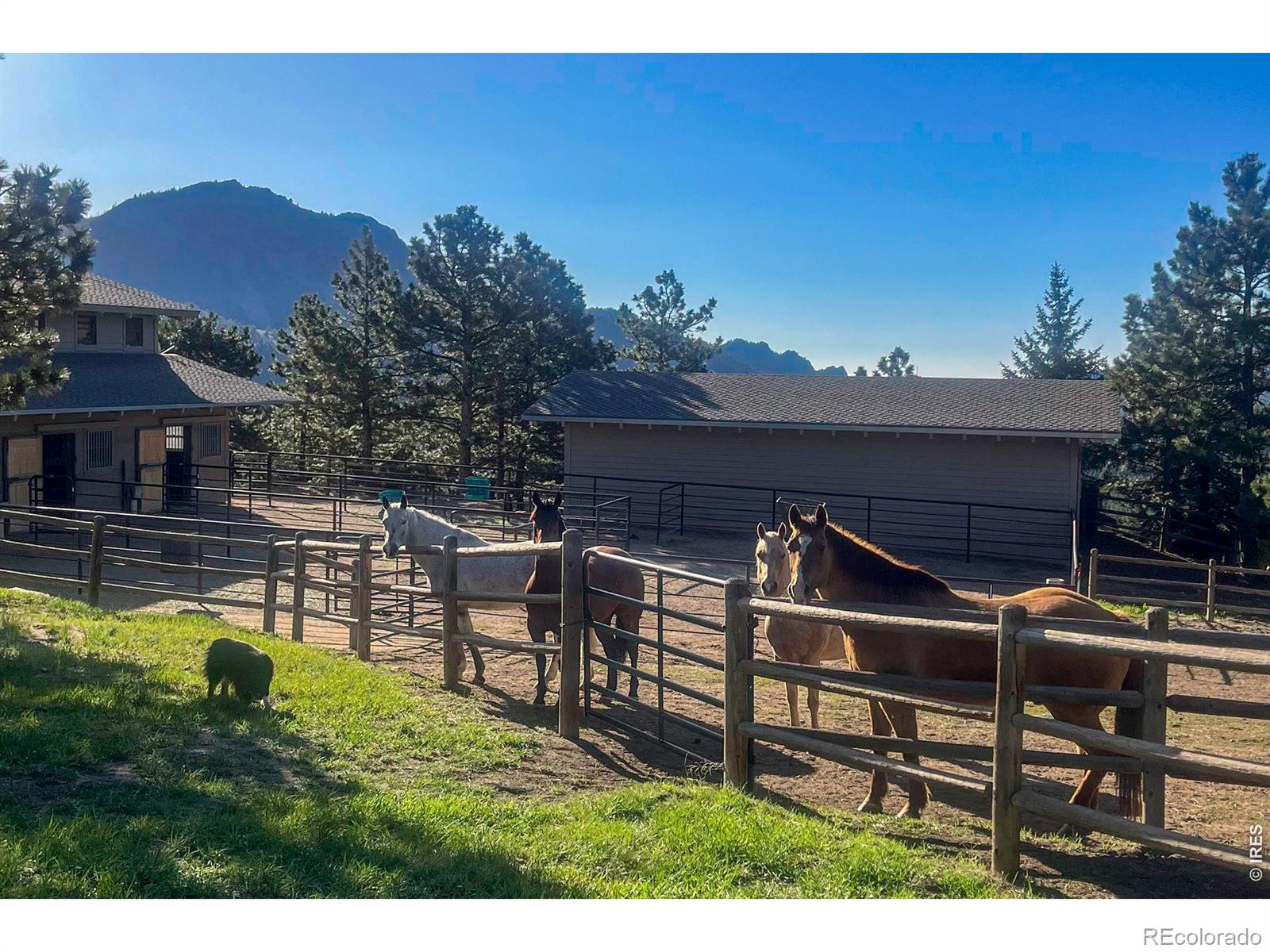 MLS Image #44 for 7321  flagstaff road,boulder, Colorado