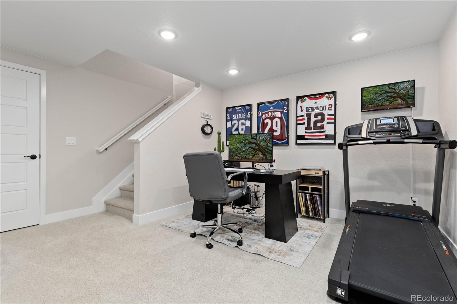 MLS Image #32 for 8700  hotchkiss street,littleton, Colorado