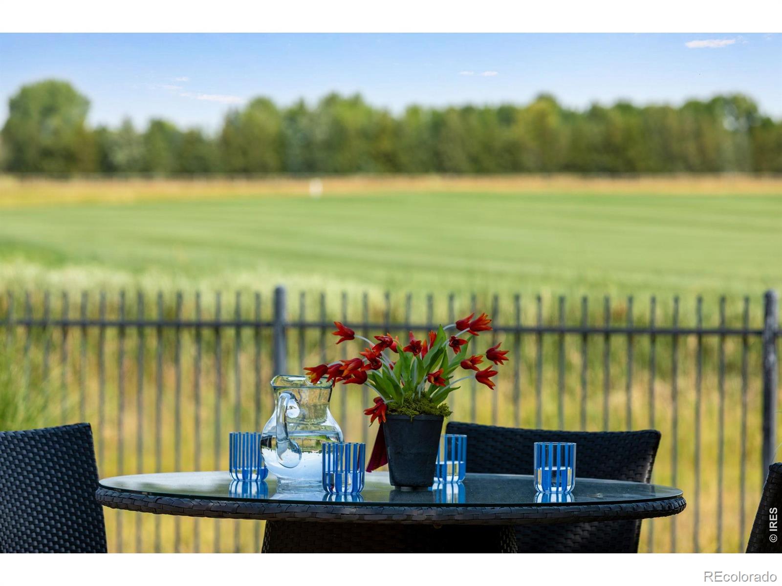 MLS Image #39 for 7230  spanish bay drive,windsor, Colorado