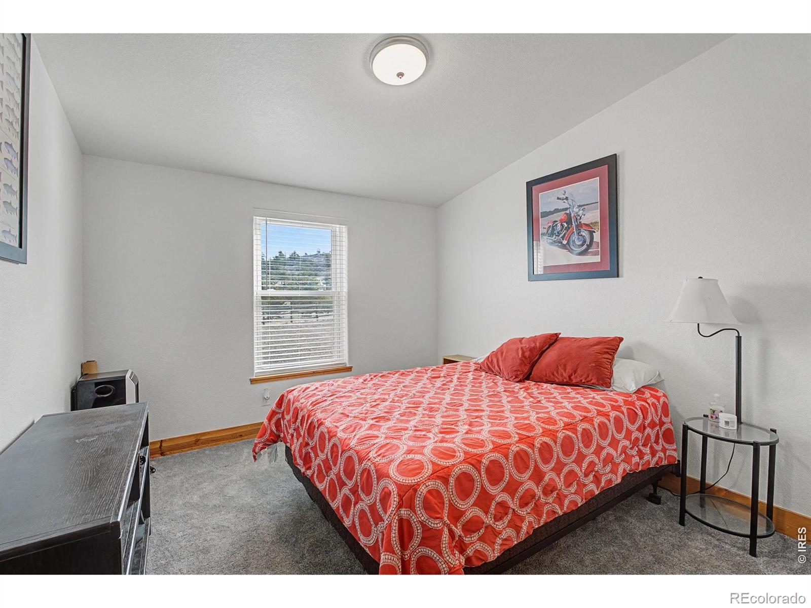 MLS Image #19 for 223  timber trail,livermore, Colorado