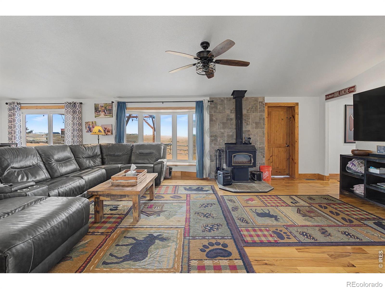 MLS Image #7 for 223  timber trail,livermore, Colorado