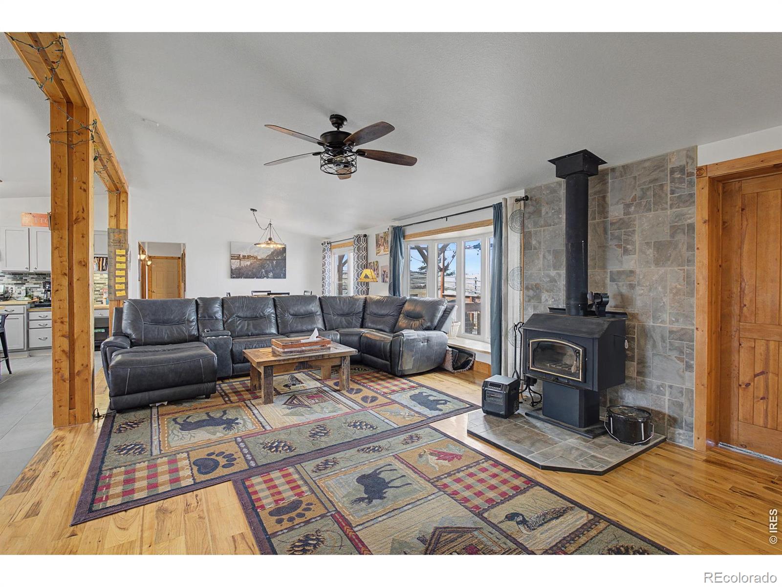 MLS Image #9 for 223  timber trail,livermore, Colorado