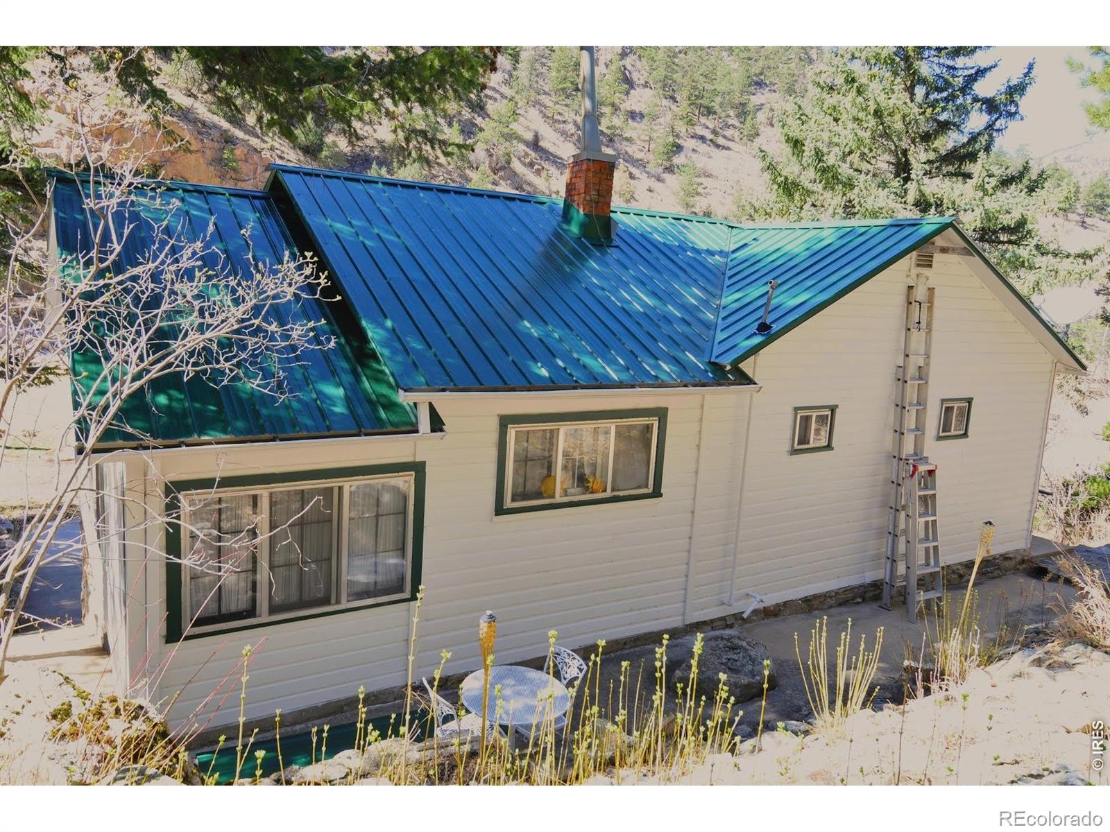 MLS Image #11 for 290  river fork road,drake, Colorado