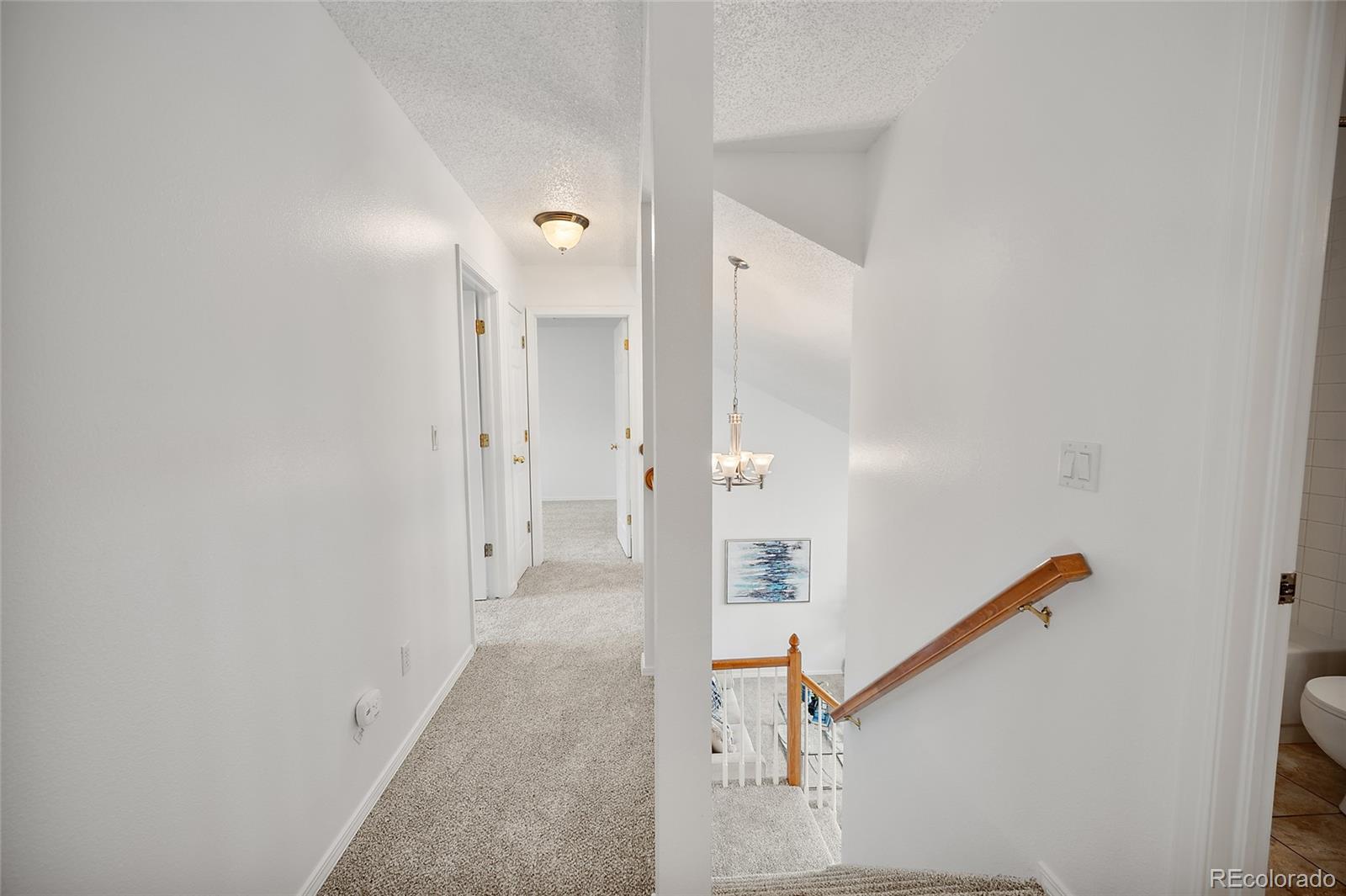 MLS Image #28 for 3814  cottage drive,colorado springs, Colorado