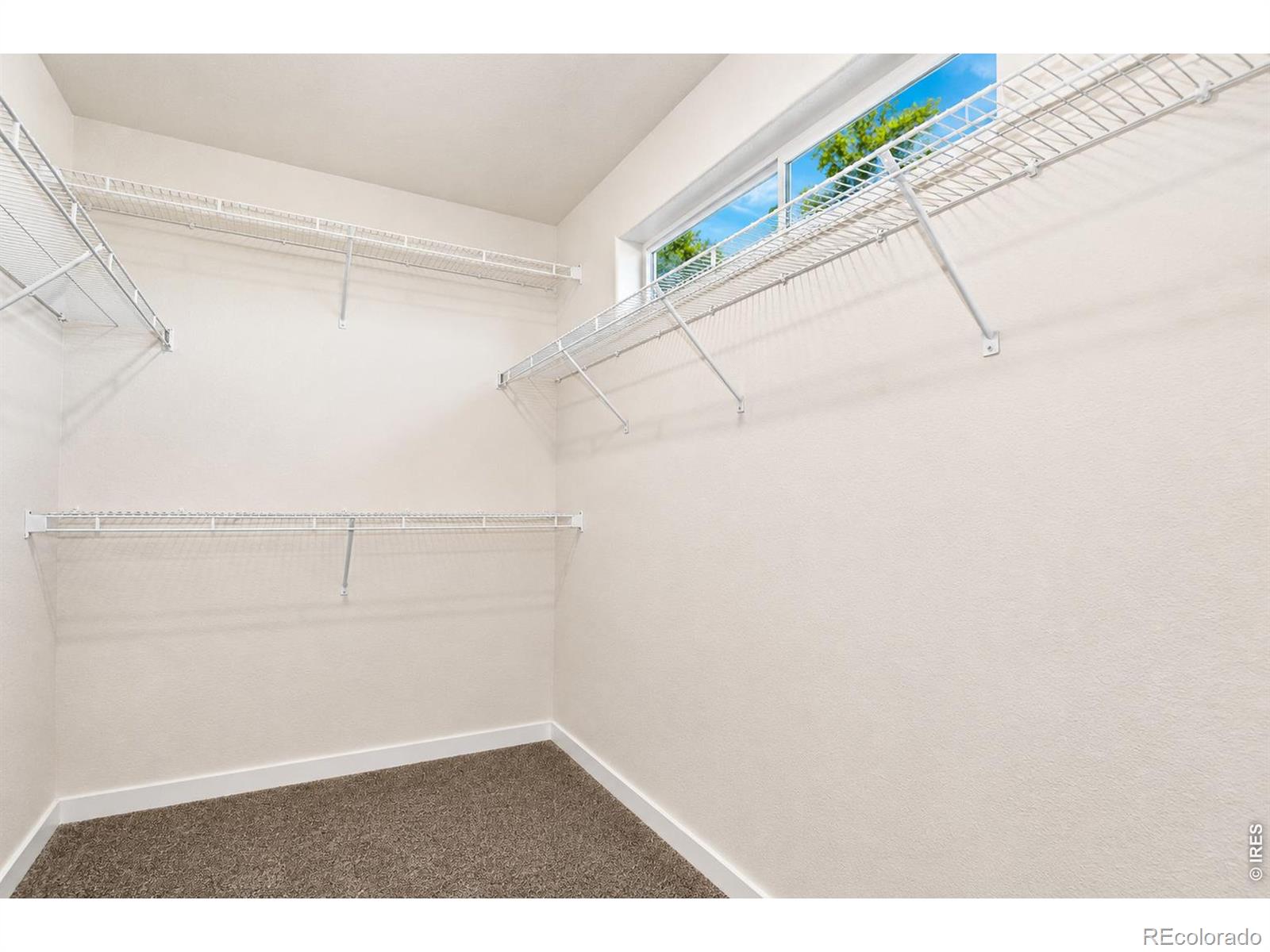 MLS Image #29 for 1197  crown sparrow street,johnstown, Colorado