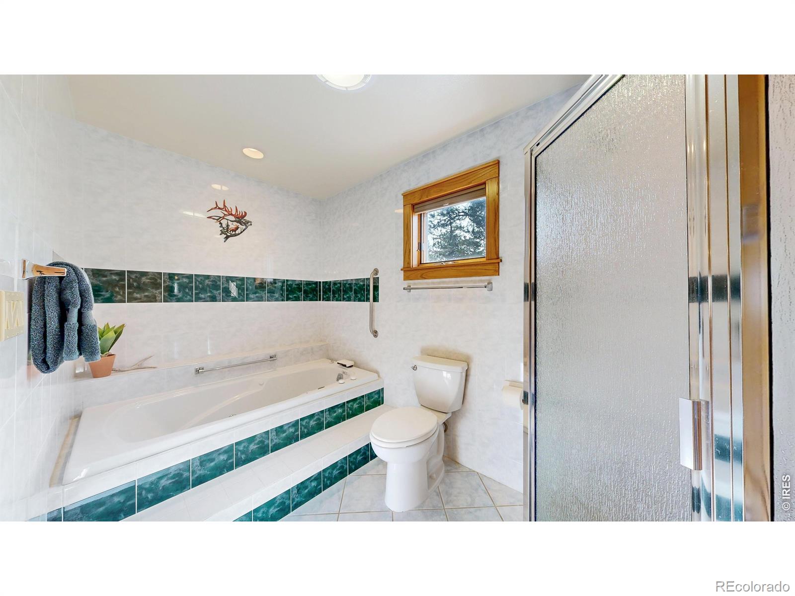 MLS Image #20 for 2619  ridge lane,estes park, Colorado