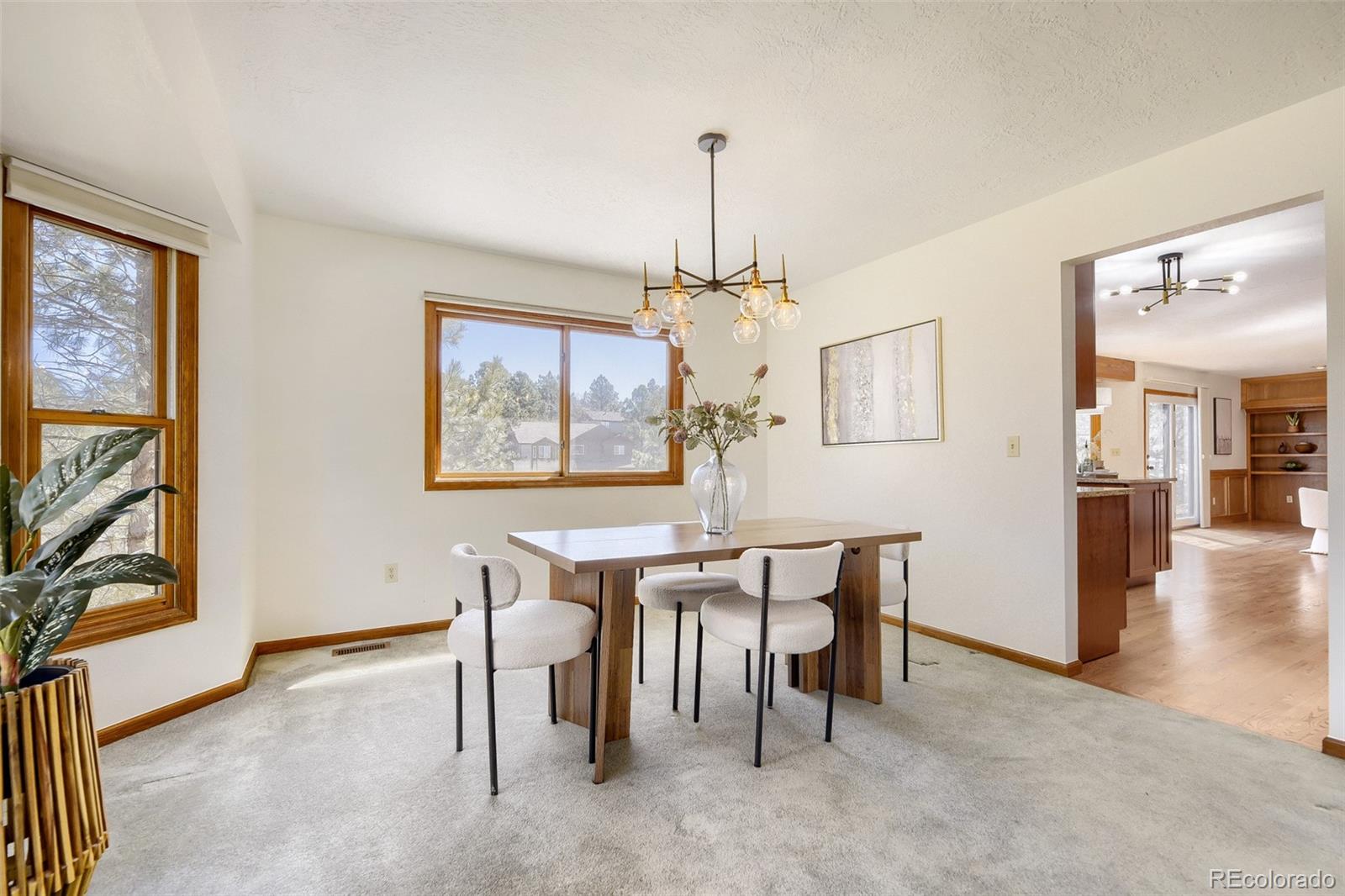MLS Image #7 for 6218  northstar ridge lane,parker, Colorado