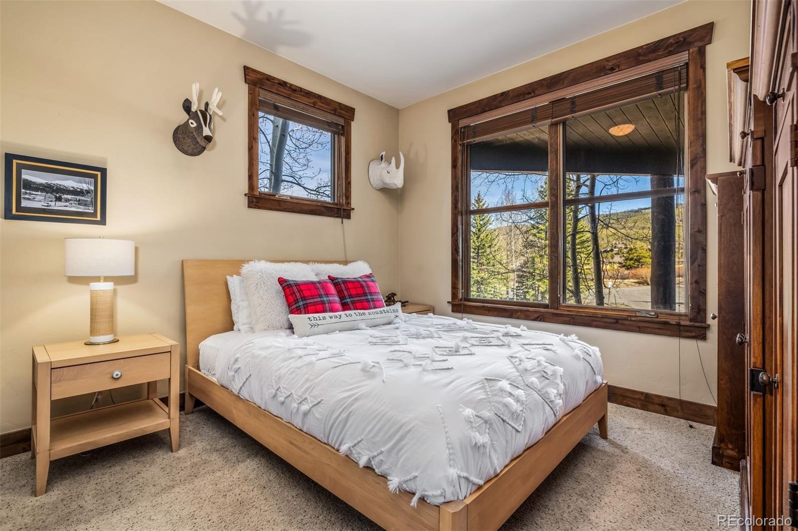 MLS Image #27 for 28  north road,breckenridge, Colorado