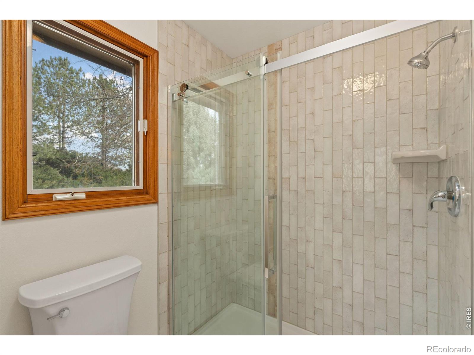 MLS Image #20 for 109  grand view drive,mead, Colorado