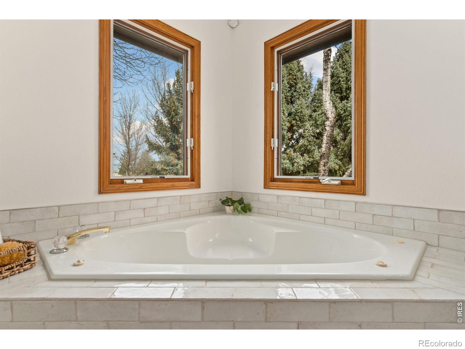 MLS Image #22 for 109  grand view drive,mead, Colorado