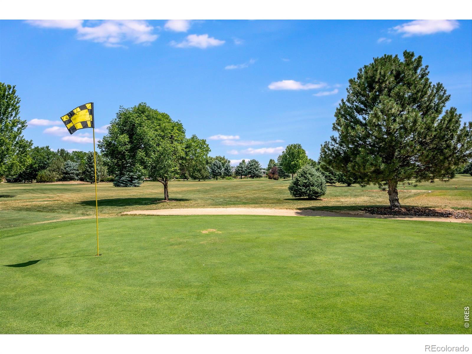 MLS Image #37 for 109  grand view drive,mead, Colorado