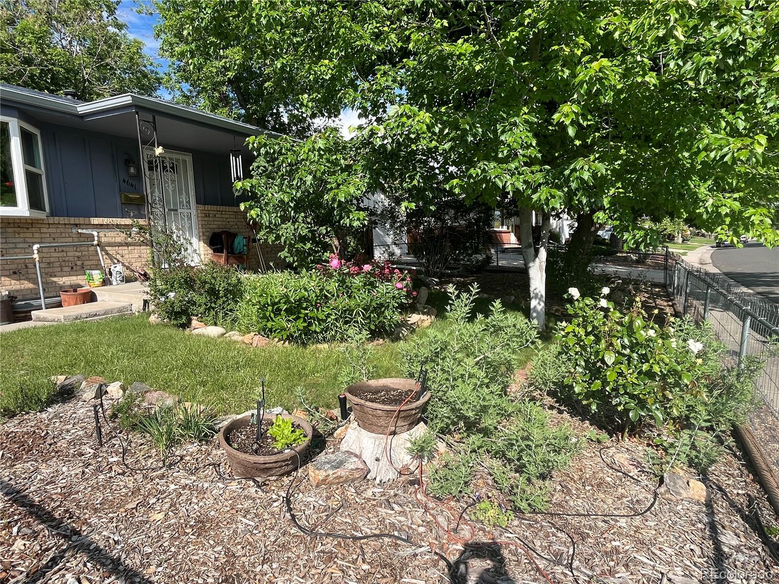 MLS Image #10 for 4641  dixon drive,westminster, Colorado