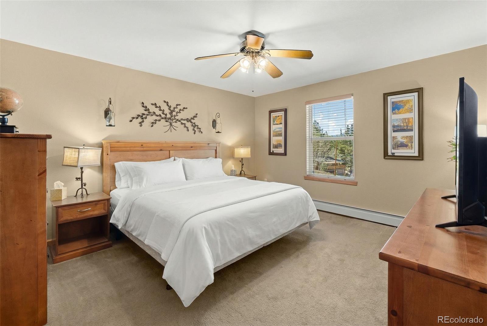MLS Image #31 for 7116  county road 92 ,lake george, Colorado
