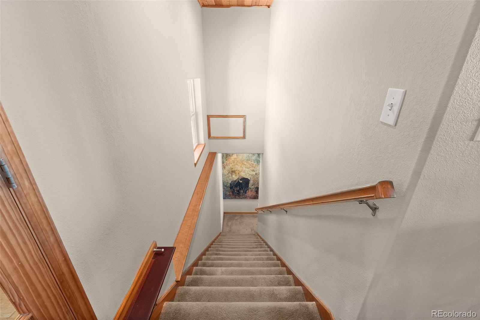 MLS Image #36 for 7116  county road 92 ,lake george, Colorado