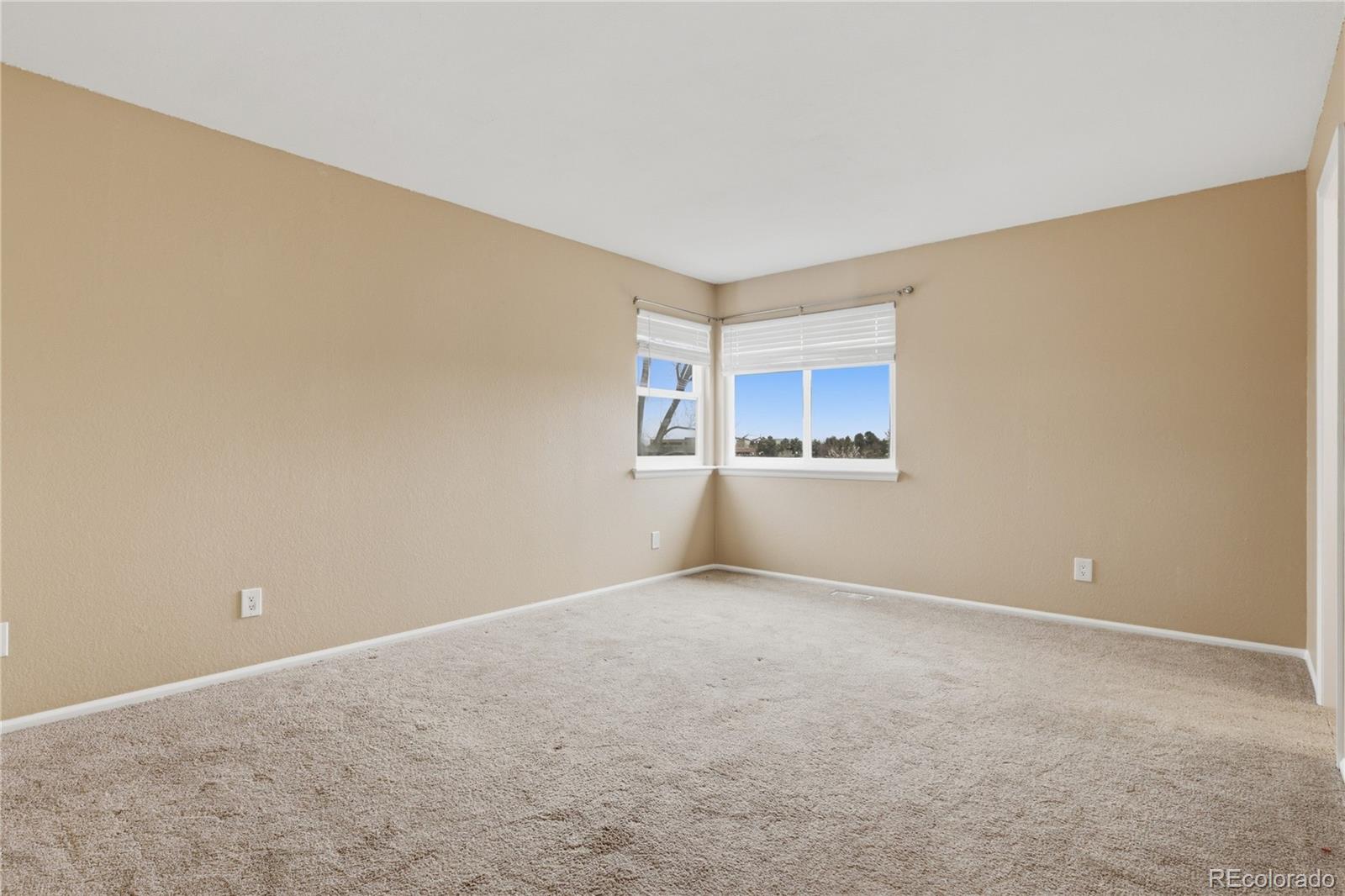 MLS Image #26 for 301  mountain cloud circle,highlands ranch, Colorado