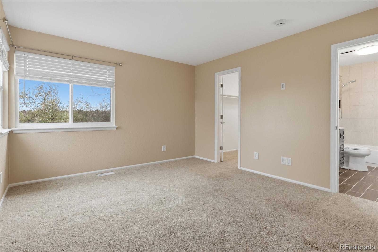 MLS Image #28 for 301  mountain cloud circle,highlands ranch, Colorado