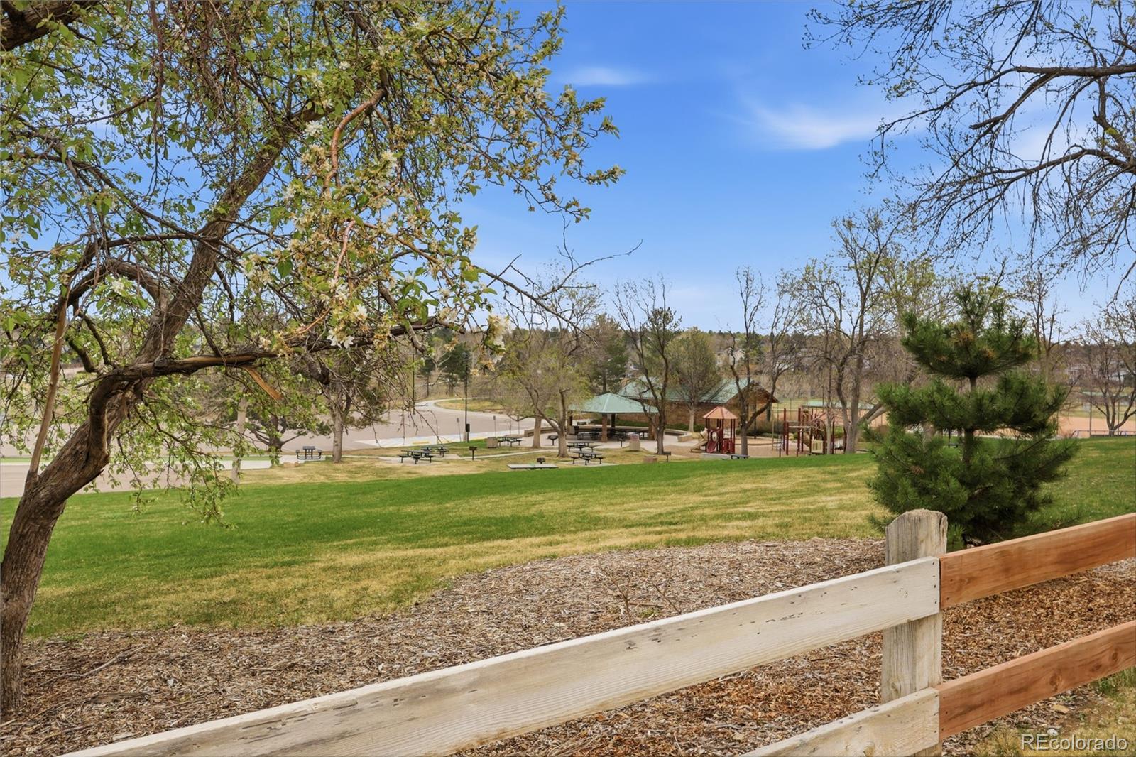 MLS Image #39 for 301  mountain cloud circle,highlands ranch, Colorado