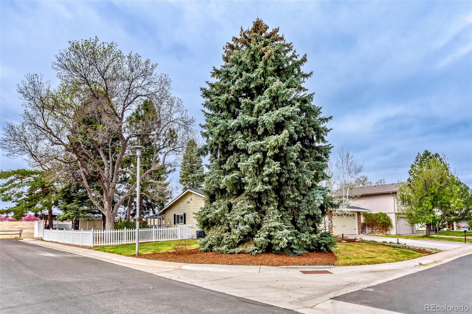 MLS Image #3 for 7398 s costilla street,littleton, Colorado
