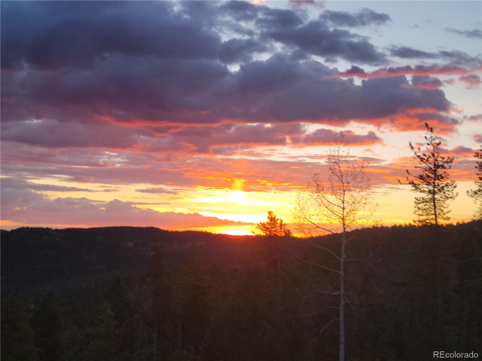 MLS Image #45 for 32462  lodgepole drive,evergreen, Colorado