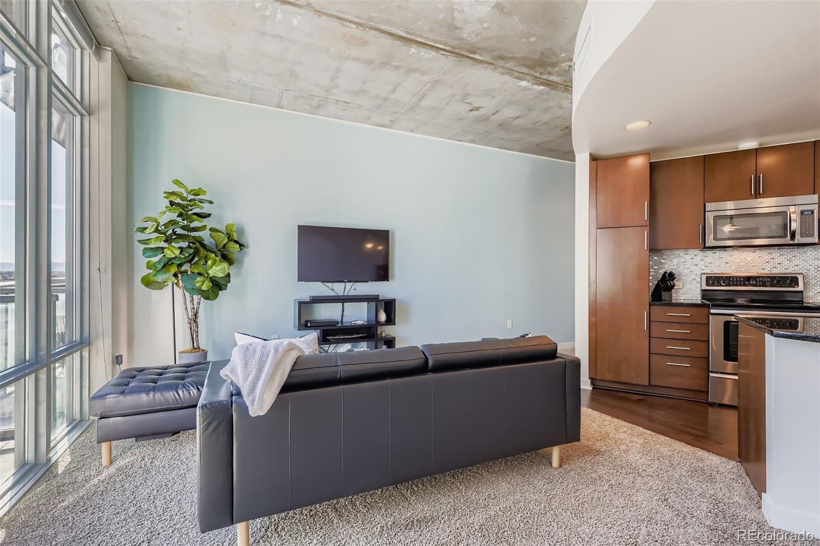MLS Image #7 for 891  14th street,denver, Colorado