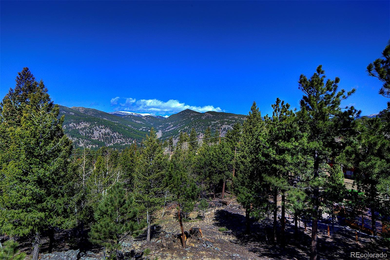 MLS Image #26 for 81  fir lane,bailey, Colorado