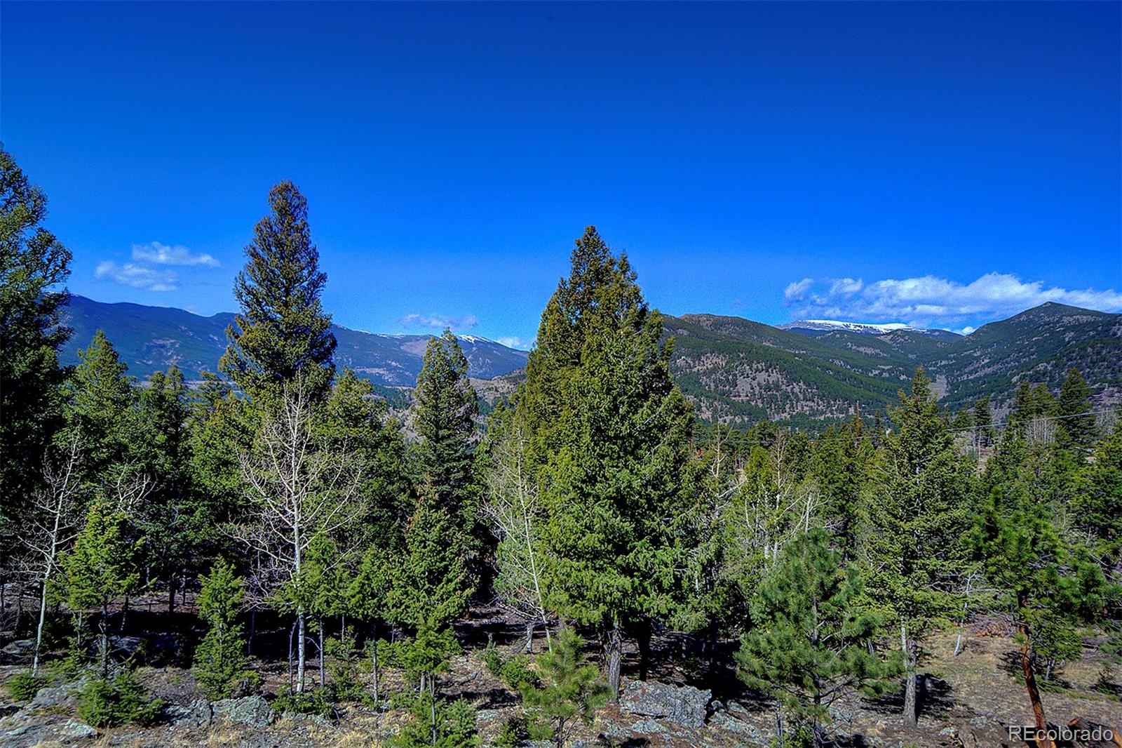 MLS Image #29 for 81  fir lane,bailey, Colorado
