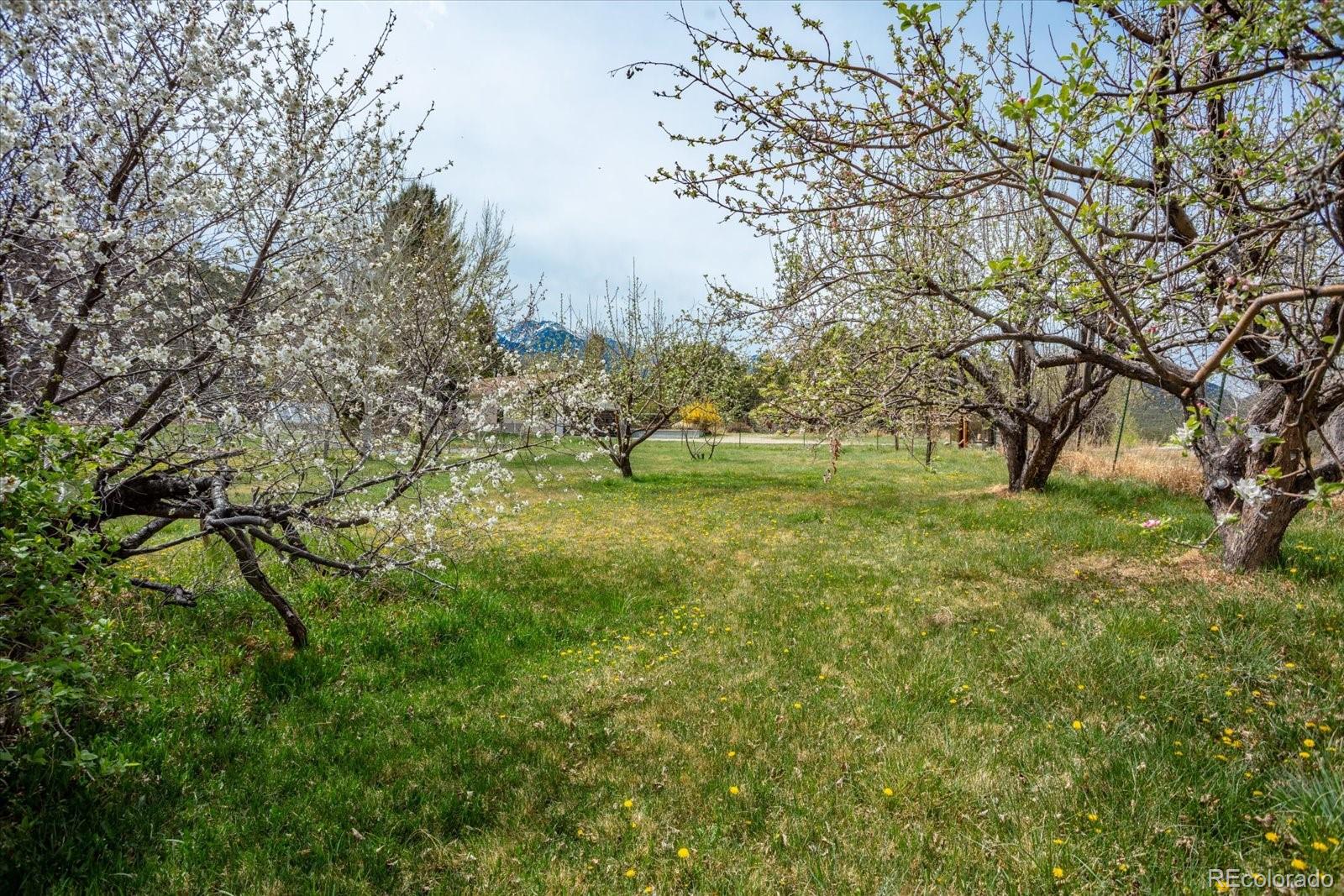 MLS Image #43 for 762  leprechaun lane,howard, Colorado