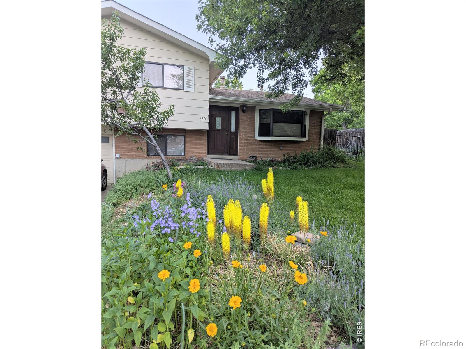 MLS Image #4 for 650  hartford drive,boulder, Colorado