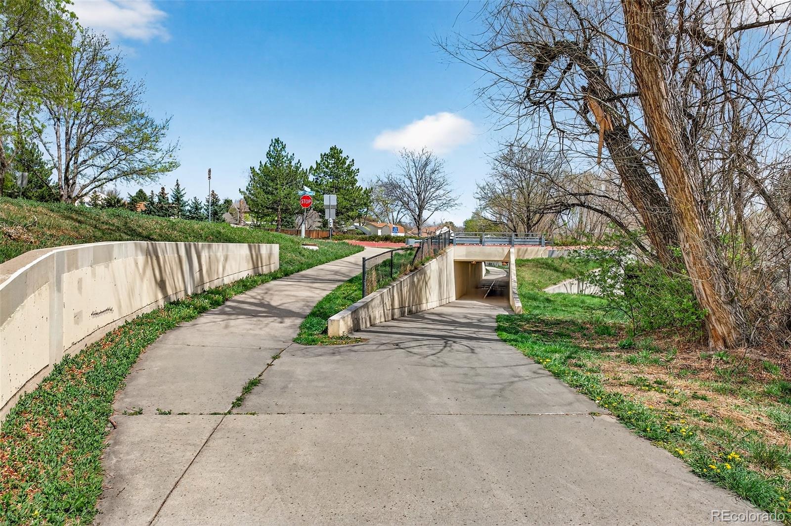 MLS Image #40 for 10023 w 81st lane,arvada, Colorado