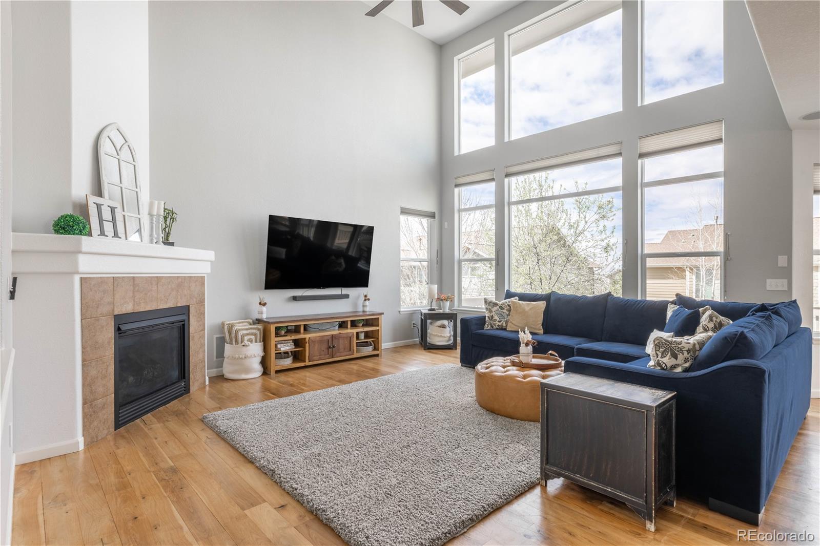 MLS Image #14 for 2788  dreamcatcher loop,castle rock, Colorado