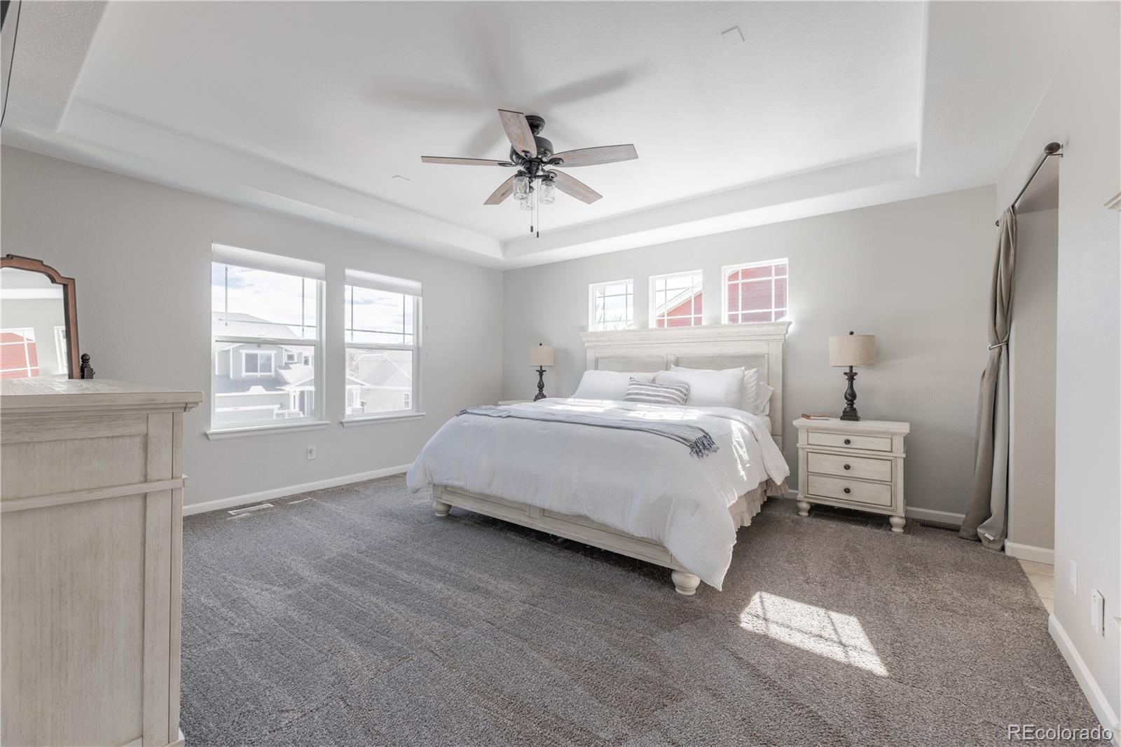 MLS Image #18 for 2788  dreamcatcher loop,castle rock, Colorado