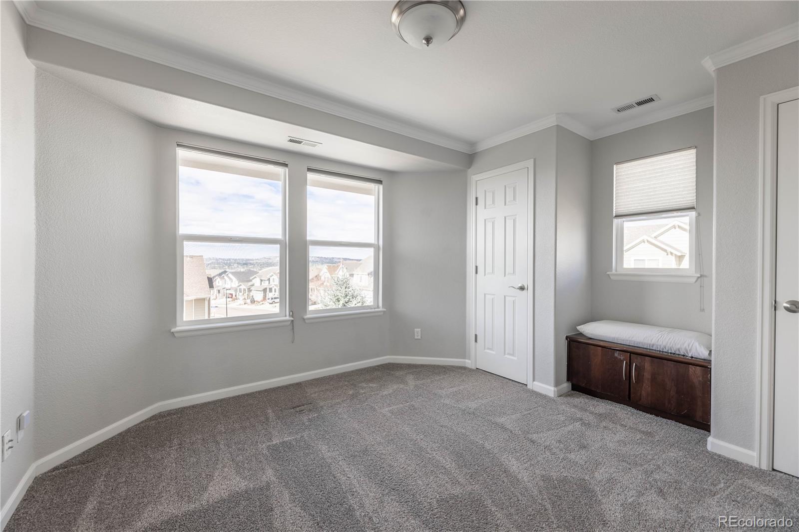 MLS Image #24 for 2788  dreamcatcher loop,castle rock, Colorado