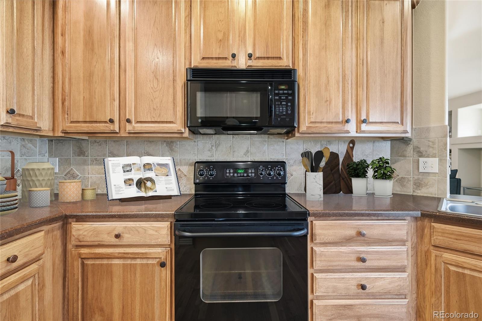 MLS Image #12 for 3585  sunridge terrace drive,castle rock, Colorado