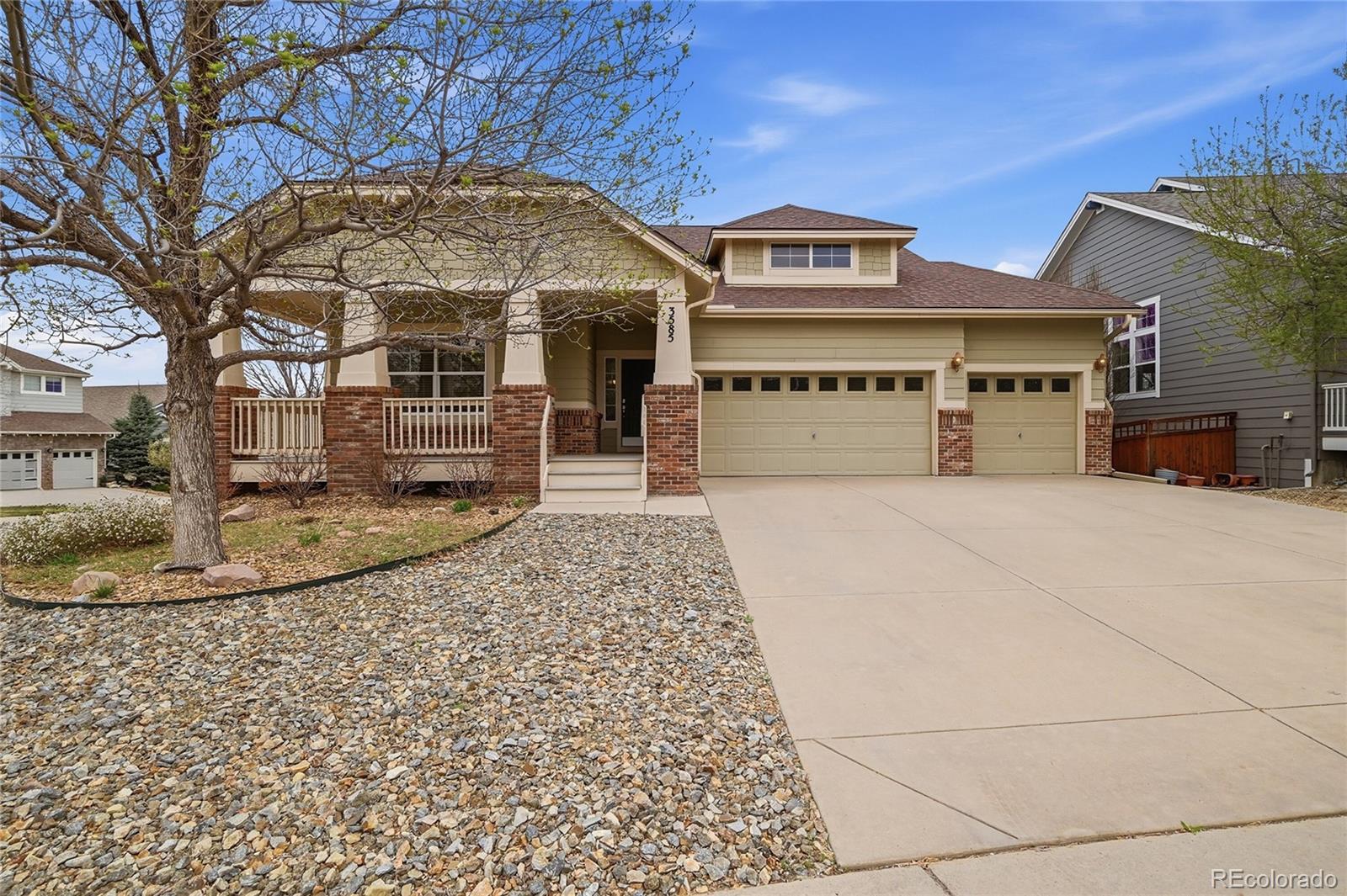 MLS Image #3 for 3585  sunridge terrace drive,castle rock, Colorado