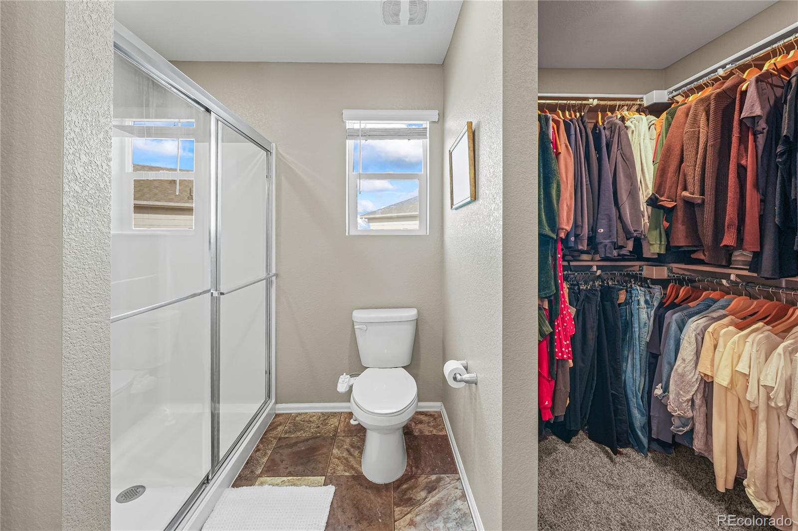 MLS Image #17 for 11675  park south lane,parker, Colorado
