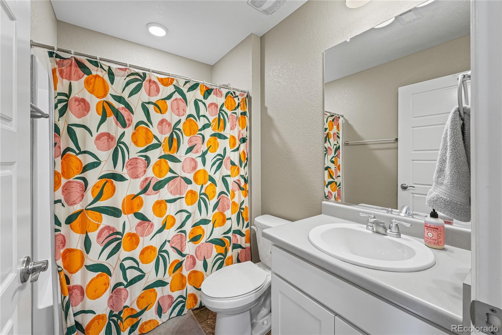 MLS Image #21 for 11675  park south lane,parker, Colorado