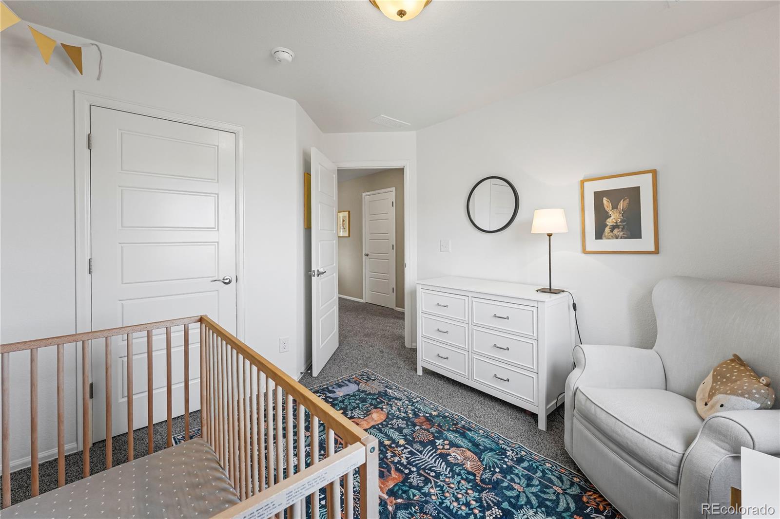 MLS Image #23 for 11675  park south lane,parker, Colorado