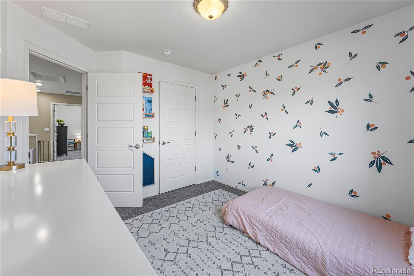 MLS Image #25 for 11675  park south lane,parker, Colorado